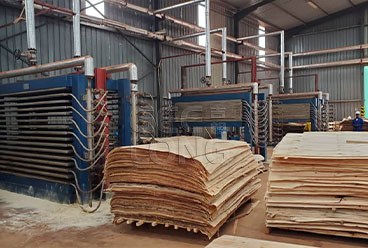 China GEELONG plywood machine at Africa